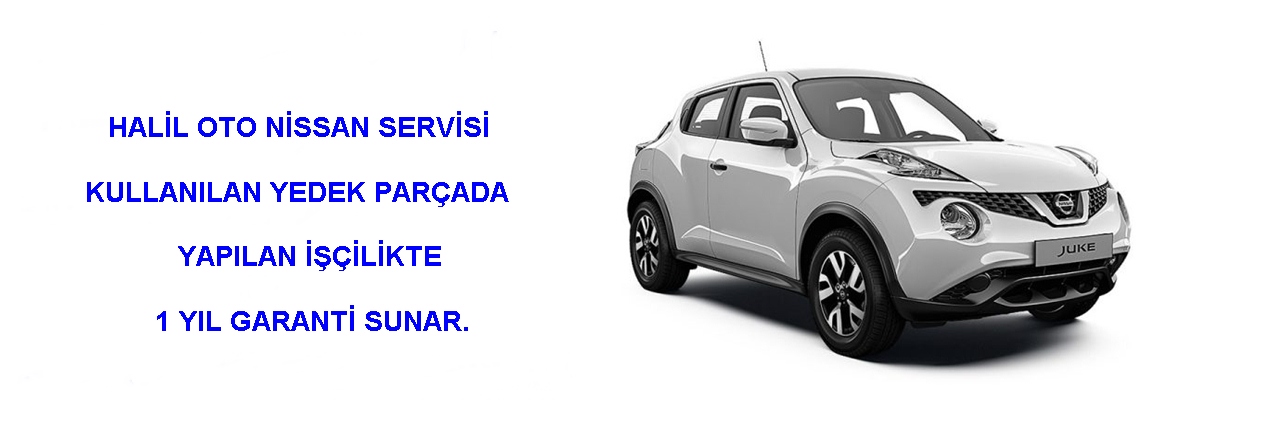 en iyi nissan servisi