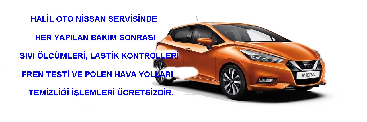 nissan servisi